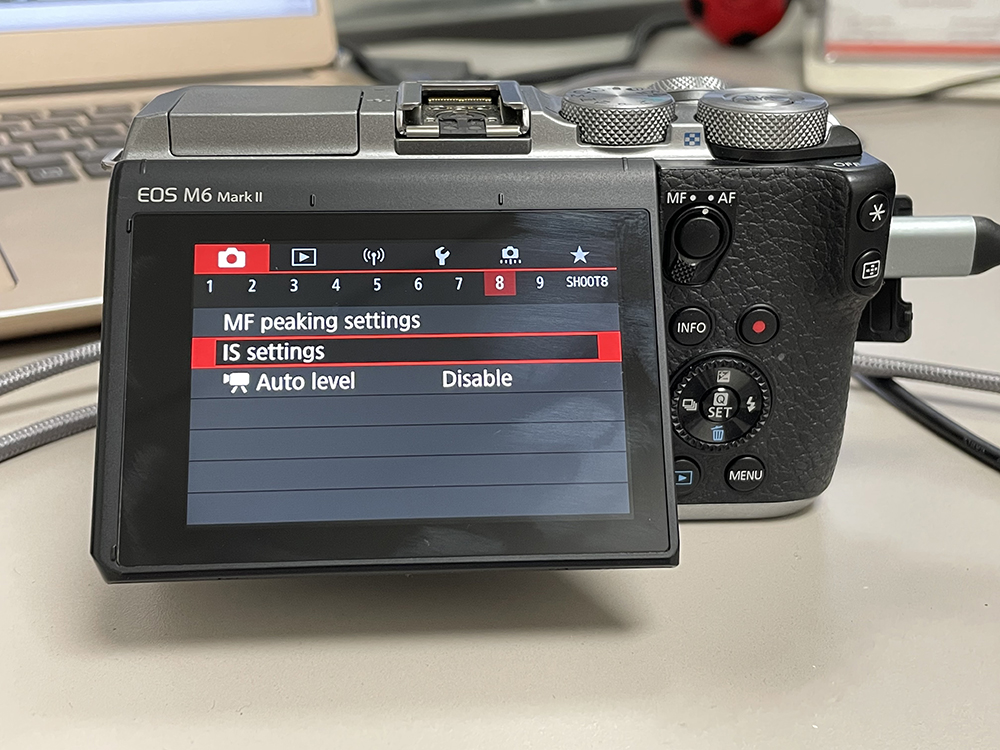 EOS M6 Mark II - IS Settings