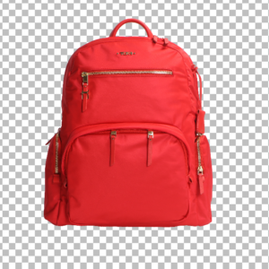 Tummi Hand Bag Backpag Purse 360 Transparent Example