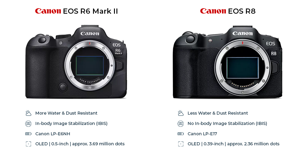 Canon EOS R8 and EOS R6 Mark II Comparison