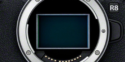 Canon EOS R8 Camera Sensor